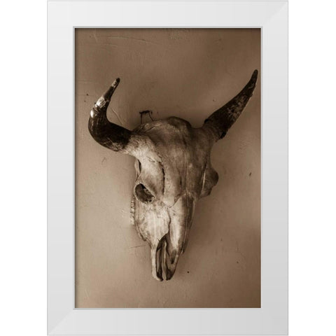 Steer Skull White Modern Wood Framed Art Print by Mahan, Kathy