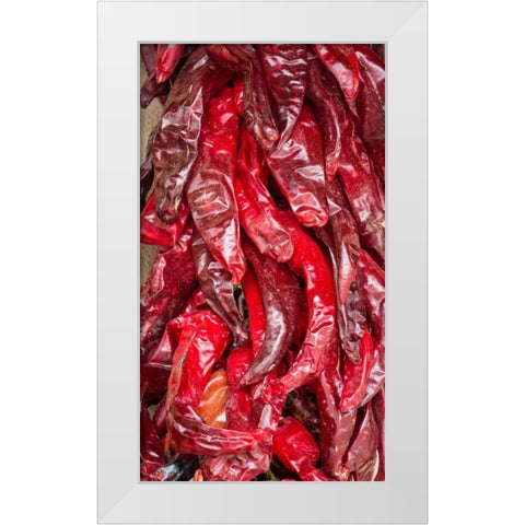 Ristras I White Modern Wood Framed Art Print by Mahan, Kathy