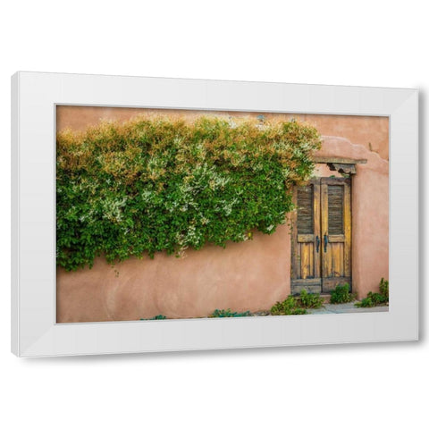 Gate II White Modern Wood Framed Art Print by Mahan, Kathy