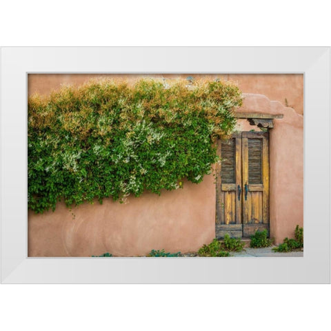 Gate II White Modern Wood Framed Art Print by Mahan, Kathy
