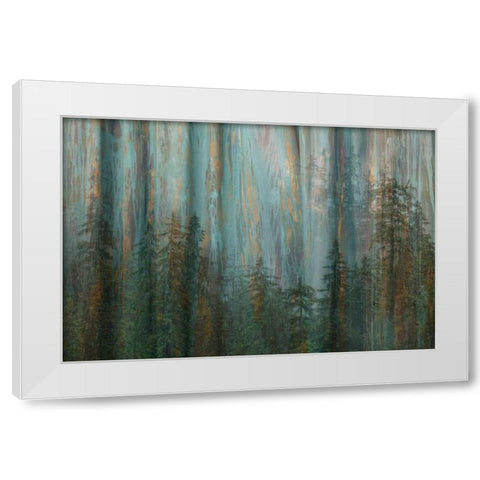 Forest I White Modern Wood Framed Art Print by Mahan, Kathy