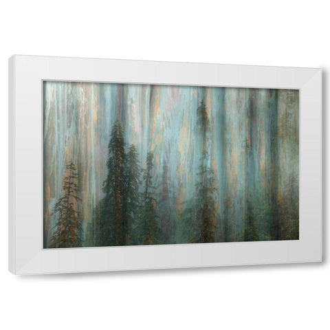 Forest II White Modern Wood Framed Art Print by Mahan, Kathy