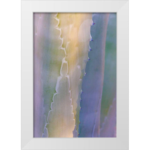 Agave III White Modern Wood Framed Art Print by Mahan, Kathy