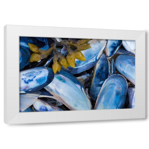 Mussels II White Modern Wood Framed Art Print by Mahan, Kathy