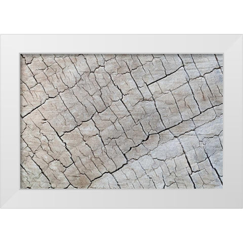 Weathered Wood I White Modern Wood Framed Art Print by Mahan, Kathy