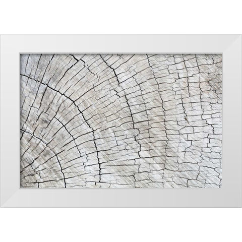 Weathered Wood II White Modern Wood Framed Art Print by Mahan, Kathy