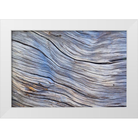 Weathered Wood III White Modern Wood Framed Art Print by Mahan, Kathy