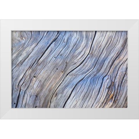 Weathered Wood IV White Modern Wood Framed Art Print by Mahan, Kathy