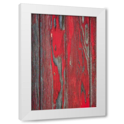 Distressed I White Modern Wood Framed Art Print by Mahan, Kathy