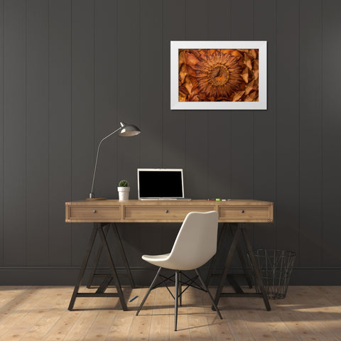 Pine Cone II White Modern Wood Framed Art Print by Mahan, Kathy