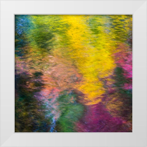 Colorful Reflections IV White Modern Wood Framed Art Print by Mahan, Kathy