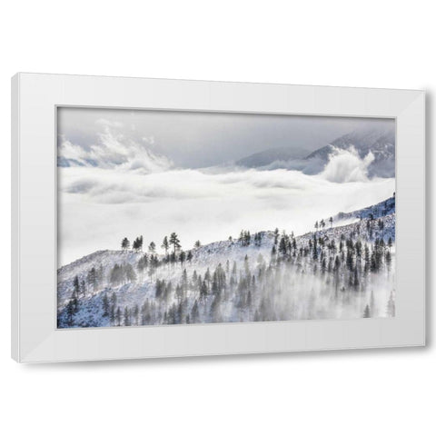 Daggett Pass II White Modern Wood Framed Art Print by Mahan, Kathy