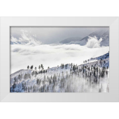 Daggett Pass II White Modern Wood Framed Art Print by Mahan, Kathy