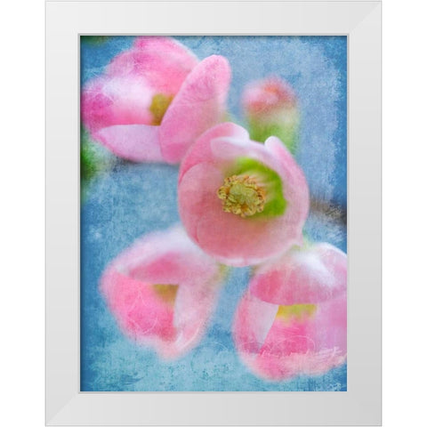 Flowering Quince II White Modern Wood Framed Art Print by Mahan, Kathy