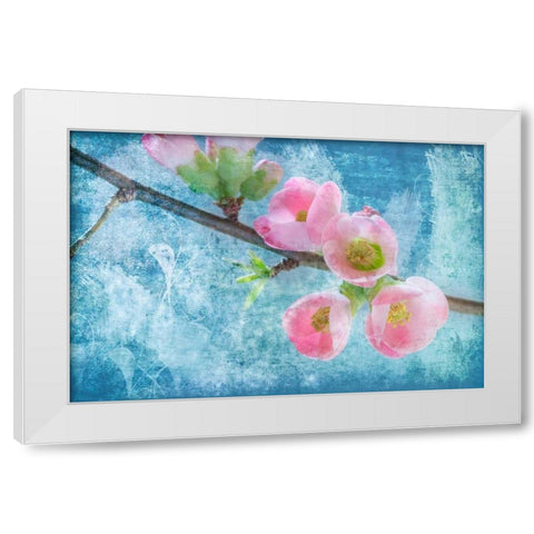 Flowering Quince III White Modern Wood Framed Art Print by Mahan, Kathy