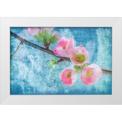 Flowering Quince III White Modern Wood Framed Art Print by Mahan, Kathy