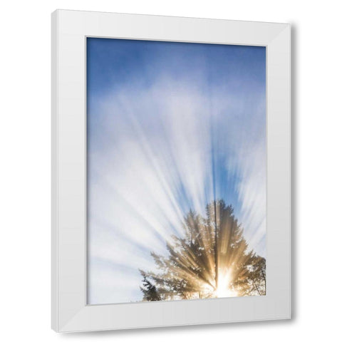 Sunburst I White Modern Wood Framed Art Print by Mahan, Kathy