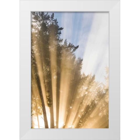 Sunburst II White Modern Wood Framed Art Print by Mahan, Kathy