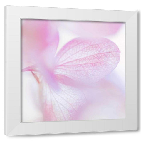 Pink Hydrangea I White Modern Wood Framed Art Print by Mahan, Kathy