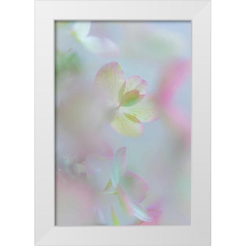 Hydrangea I White Modern Wood Framed Art Print by Mahan, Kathy