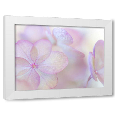 Pink Diamond III White Modern Wood Framed Art Print by Mahan, Kathy