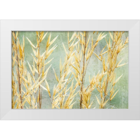 Golden Grasses White Modern Wood Framed Art Print by Mahan, Kathy
