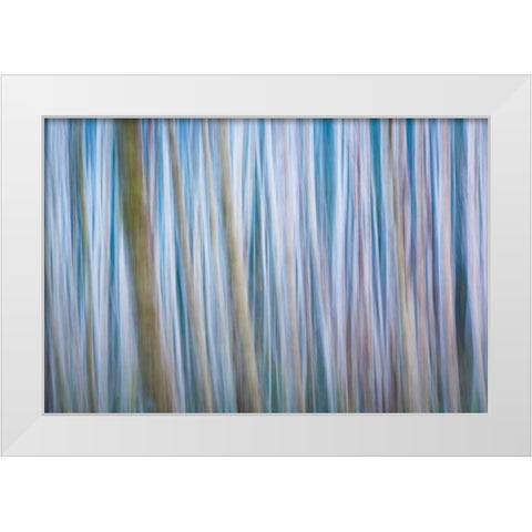 Winter Forest Abstract I White Modern Wood Framed Art Print by Mahan, Kathy