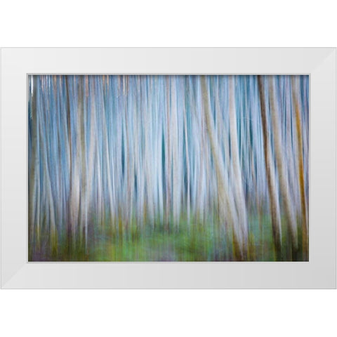 Winter Forest Abstract II White Modern Wood Framed Art Print by Mahan, Kathy