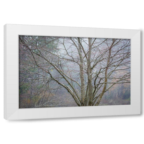 Foggy Winter I White Modern Wood Framed Art Print by Mahan, Kathy