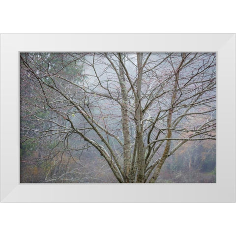 Foggy Winter I White Modern Wood Framed Art Print by Mahan, Kathy