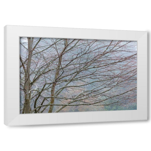 Foggy Winter II White Modern Wood Framed Art Print by Mahan, Kathy