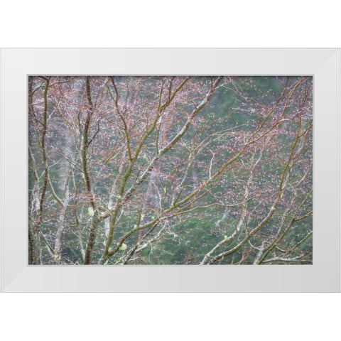 Sparkling Raindrops I White Modern Wood Framed Art Print by Mahan, Kathy