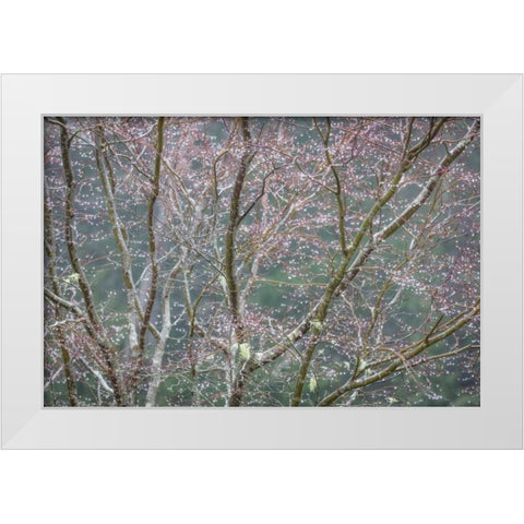 Sparkling Raindrops II White Modern Wood Framed Art Print by Mahan, Kathy