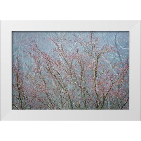 Winter Tree Limbs I White Modern Wood Framed Art Print by Mahan, Kathy