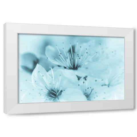 Cherry Blossom I White Modern Wood Framed Art Print by Mahan, Kathy