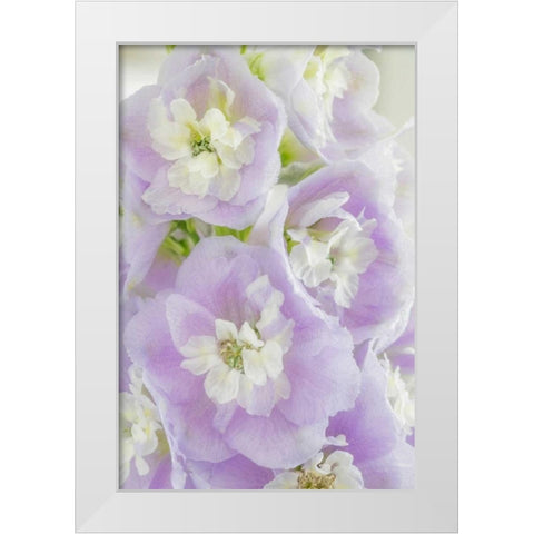 Delphinium Blossoms I White Modern Wood Framed Art Print by Mahan, Kathy