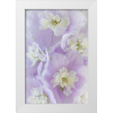 Delphinium Blossoms II White Modern Wood Framed Art Print by Mahan, Kathy