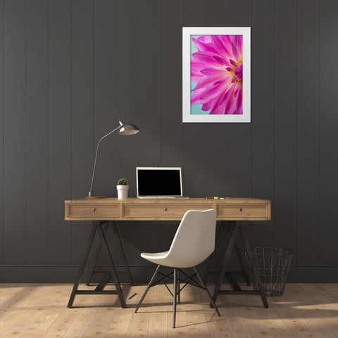 Pink Dahlia I White Modern Wood Framed Art Print by Mahan, Kathy