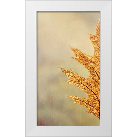 Oak Leaf I White Modern Wood Framed Art Print by Mahan, Kathy