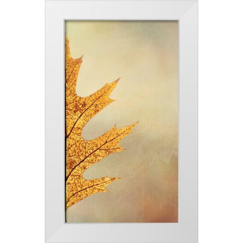 Oak Leaf II White Modern Wood Framed Art Print by Mahan, Kathy