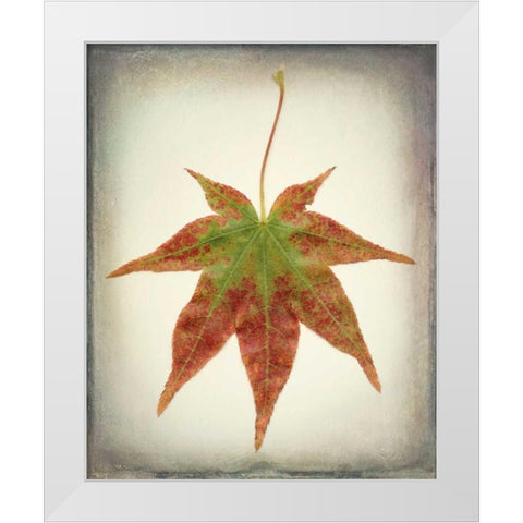Maple Leaf I White Modern Wood Framed Art Print by Mahan, Kathy