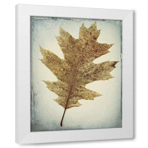 Oak Leaf White Modern Wood Framed Art Print by Mahan, Kathy