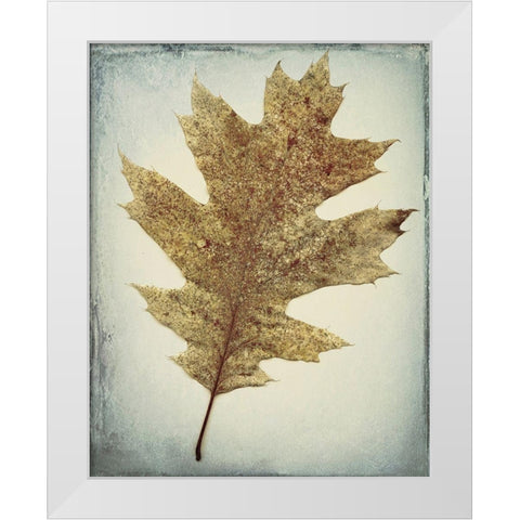 Oak Leaf White Modern Wood Framed Art Print by Mahan, Kathy
