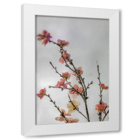 Frozen Flowers I White Modern Wood Framed Art Print by Mahan, Kathy