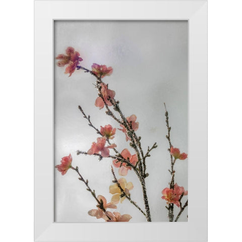 Frozen Flowers I White Modern Wood Framed Art Print by Mahan, Kathy