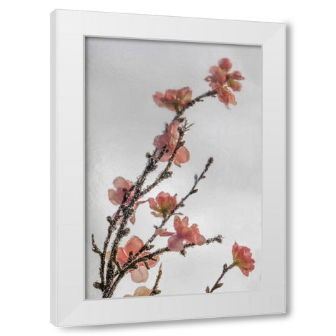 Frozen Flowers II White Modern Wood Framed Art Print by Mahan, Kathy