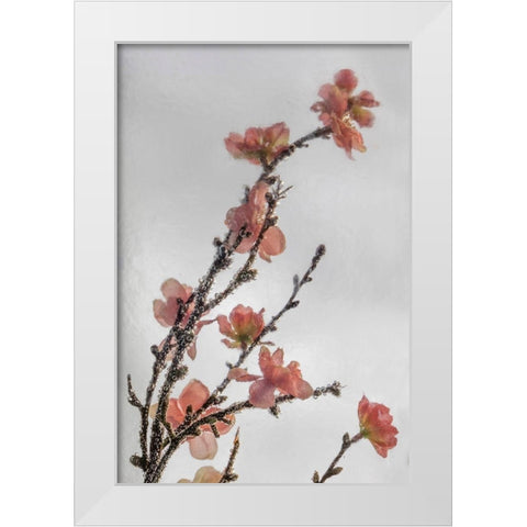 Frozen Flowers II White Modern Wood Framed Art Print by Mahan, Kathy