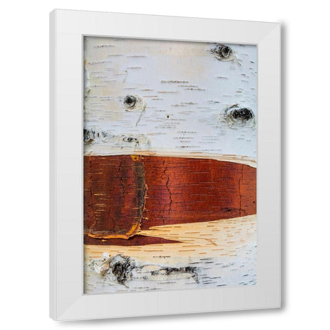 Paper Birch White Modern Wood Framed Art Print by Mahan, Kathy