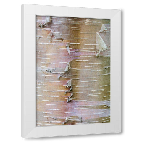 Birch Bark White Modern Wood Framed Art Print by Mahan, Kathy