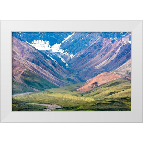 Danali National Park I White Modern Wood Framed Art Print by Mahan, Kathy